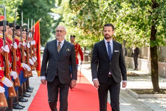 Predsjednik%20Milatovic%20i%20PD%20Estonije%20-%20docek%20i%20tet%20a%20tet%20%2812%20of%2023%29.jpg?itok=oQwQXDvW